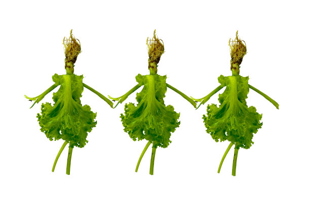 三个女人手牵手做的蔬菜图片下载