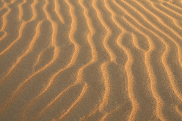 沙漠沙纹反射着清晨的阳光图片下载