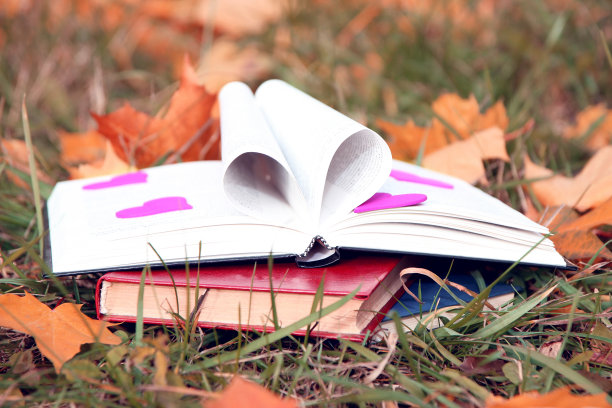 在秋叶中打开书。图片下载