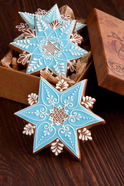 用饼干作圣诞作文图片下载