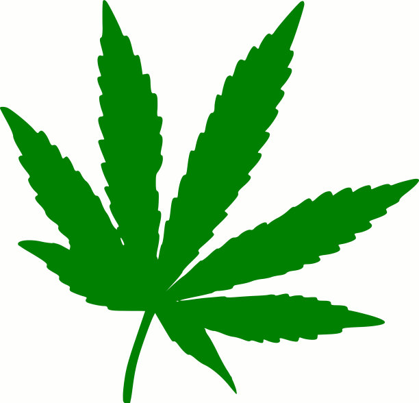 大麻叶图片下载