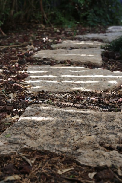 石板路图片下载