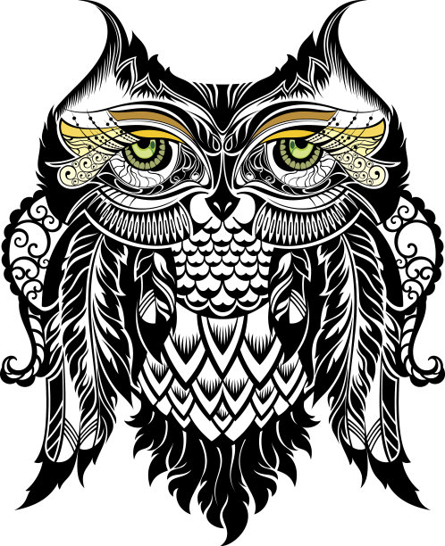 矢量插图猫头鹰图片下载