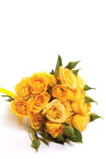 一束黄色的小玫瑰图片下载