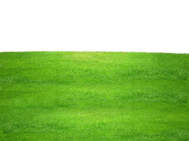 绿色的田野创造性的绿色设计图片下载