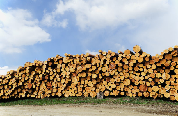 松木整节木材图片下载