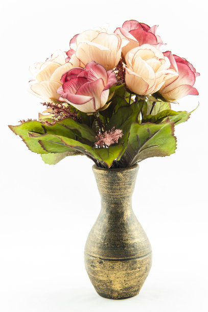 旧花瓶和花图片下载