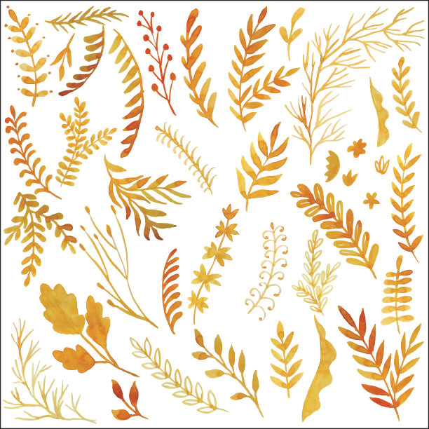 不同的植物橙色，向量图片下载