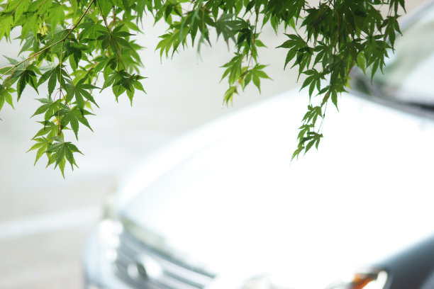 枫和汽车图片下载