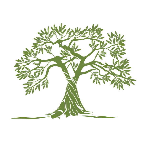 向量颜色橄榄树。图片下载