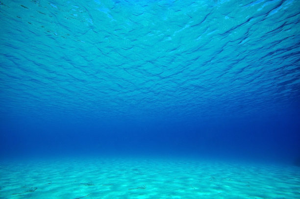 水下水景图片下载