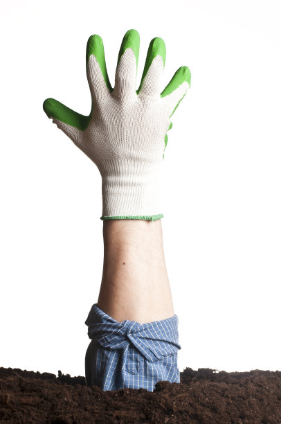 一只手从地下伸出来图片下载