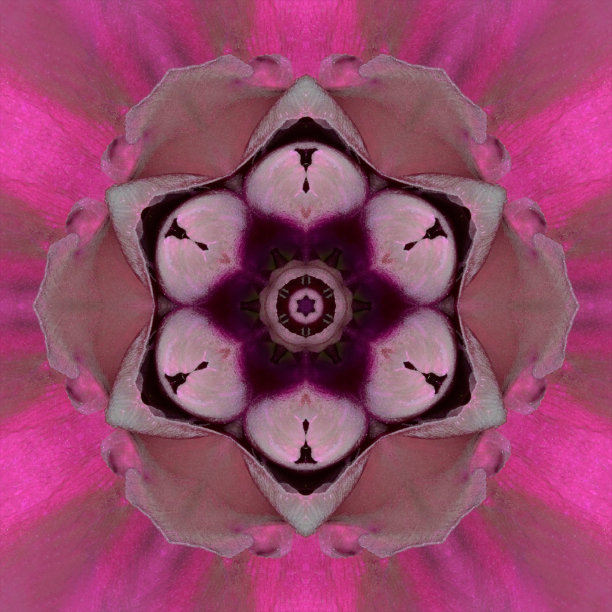 紫色同心花心曼荼罗万花筒设计图片下载