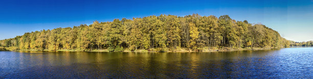 深思熟虑的秋天的表面。图片下载