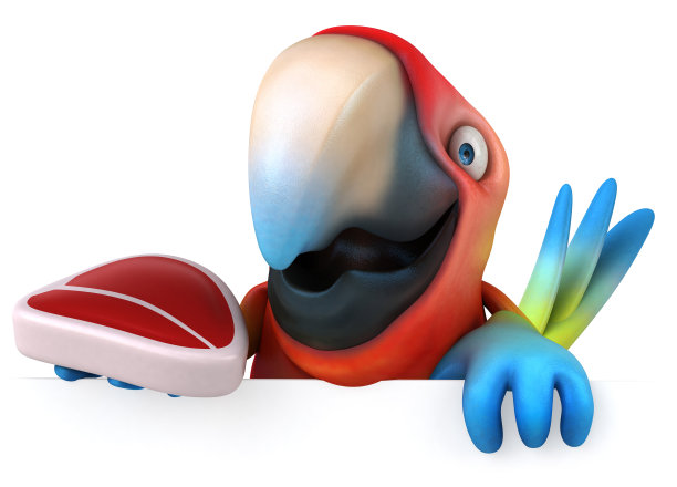 有趣的鹦鹉图片下载