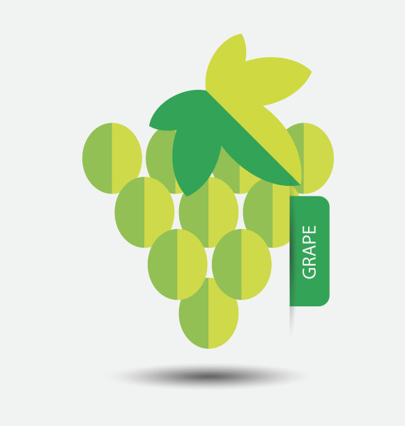 葡萄、水果矢量插画图片下载