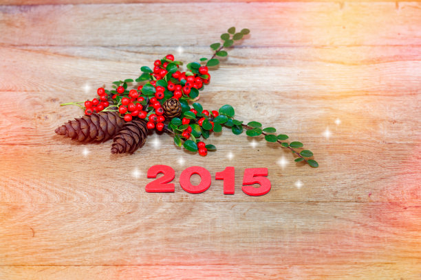 新年装饰- 2015图片下载