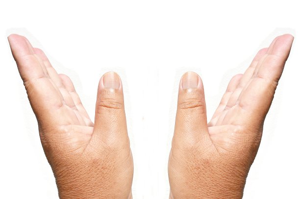 和平符号手，鸽子或鸽子的标志图片下载