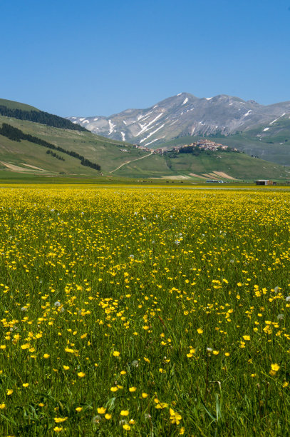 意大利山村Castelluccio图片下载