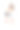 骑摩托车的女人穿着白色比基尼和牛仔裤短裤拿着黑色摩托车头盔图片下载