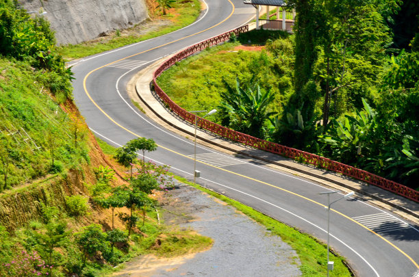 路在森林图片下载