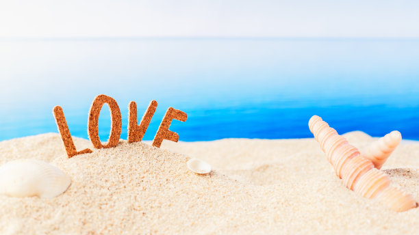 爱和热带沙滩上的贝壳图片下载