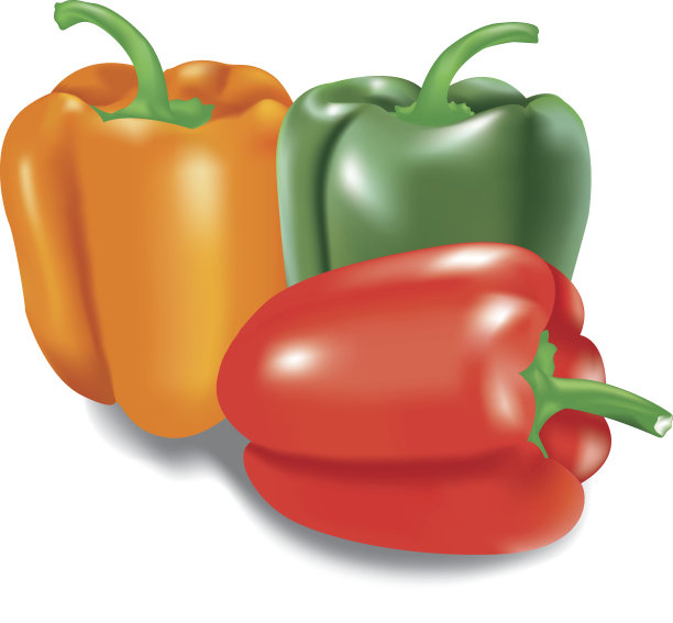 辣椒,插图图片下载