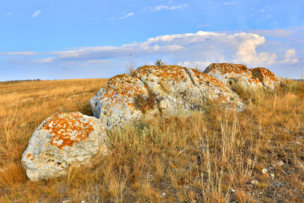 草地上的旧石头图片下载