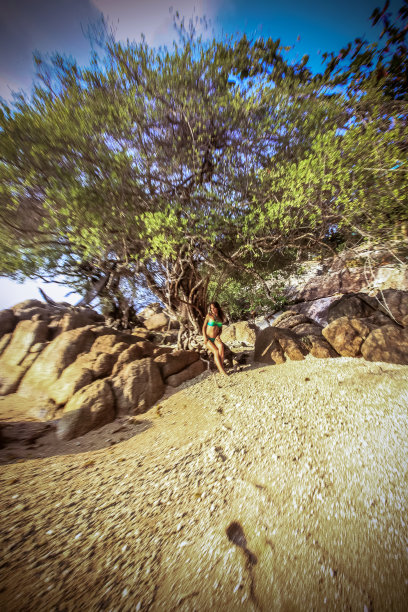 在海边的那个年轻漂亮的女人。图片下载