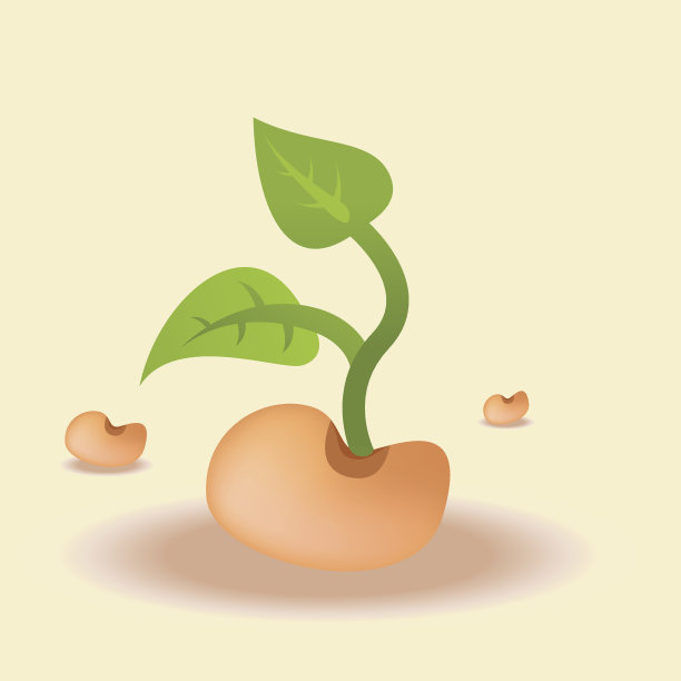 年轻的幼苗图片下载