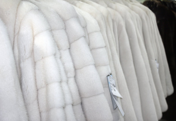 一排毛皮大衣图片下载