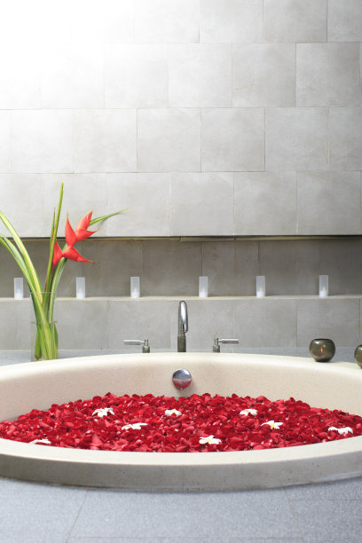 玫瑰花瓣身体护理浴图片下载