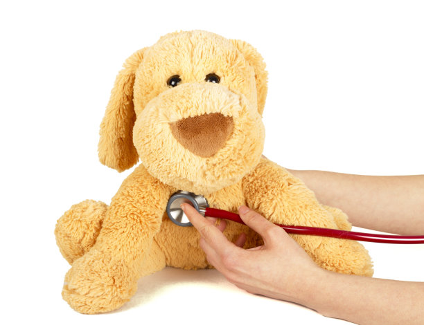 生病的泰迪图片下载