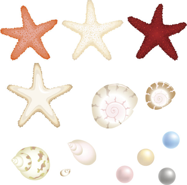 向量海集图片下载