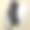 19世纪有羽毛的女性帽子图片下载