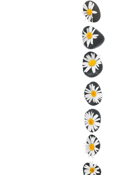 温泉石和白色雏菊图片下载