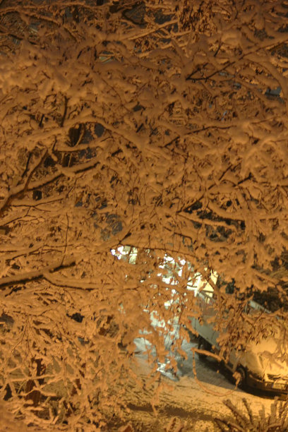 冬季仙境图片下载