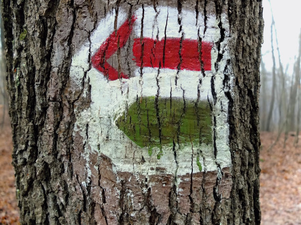 两个信号的箭。图片下载