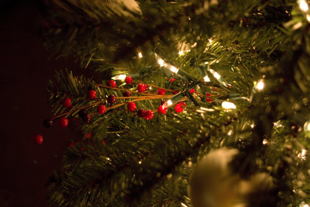 圣诞树上的浆果图片下载