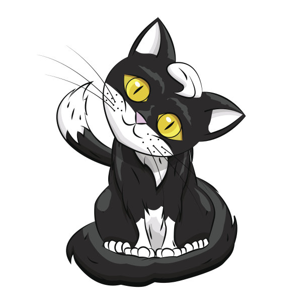 凯蒂·布莱克在白色背景上。矢量图图片下载