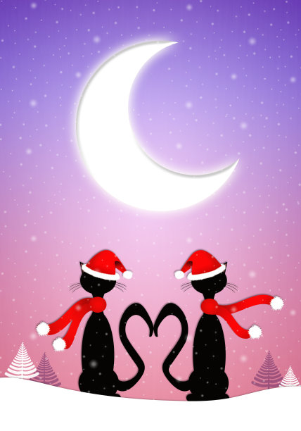 月光下的两只猫图片下载