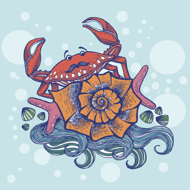 有贝壳的螃蟹、海星和波浪图片下载