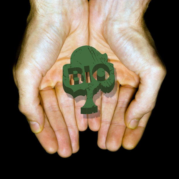 生物在手中图片下载