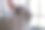 兔子在监狱图片下载