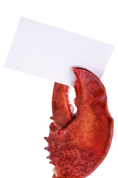 龙虾爪图片下载