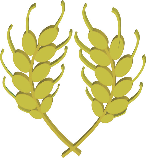 大麦3D穗在白色背景上分离。矢量插图。图片下载