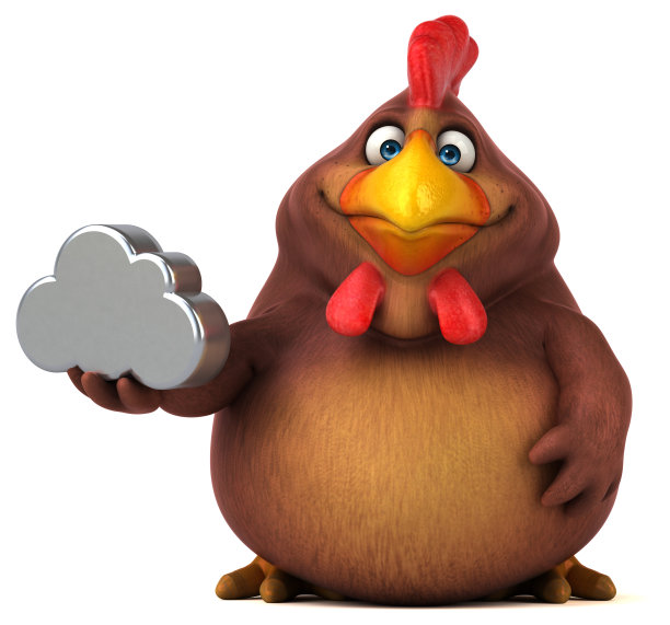 有趣的鸡图片下载