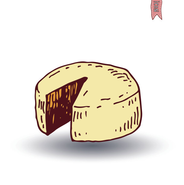 奶酪、矢量插图。图片下载