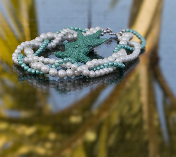 戴项链的海星图片下载