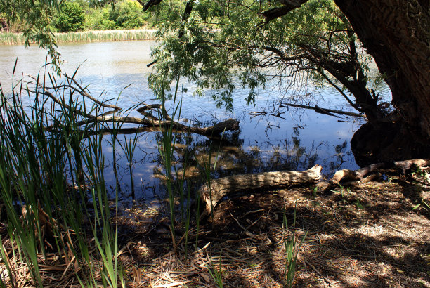 探索西区海滨图片下载